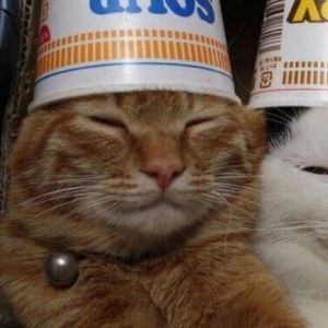 Meet your Posher, Carly